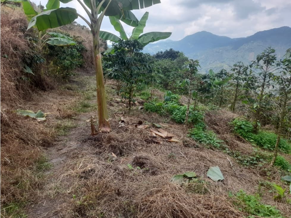 Se vende acogeadora finca en santa rosa - 1