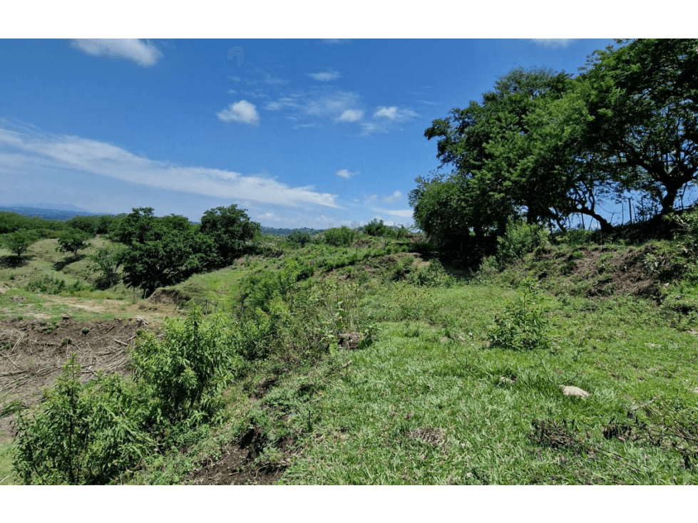 Venta de hermoso lote campestre en Cartago - Valle - 1