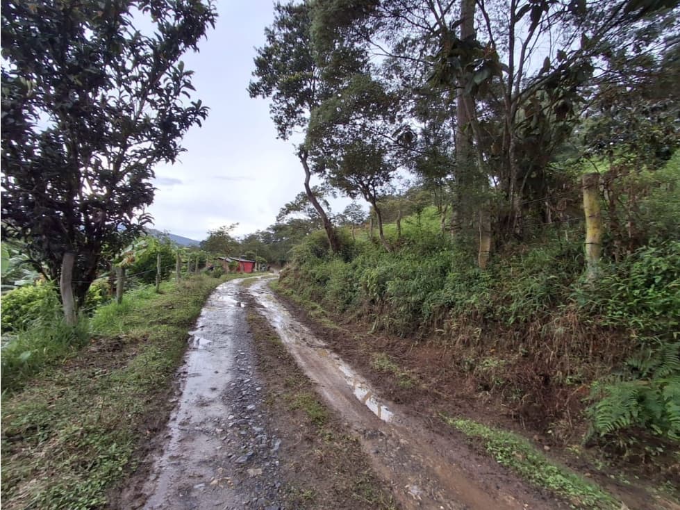 VENTA DE FINCA EN COLORADO BAJO MONIQUIRA - 1