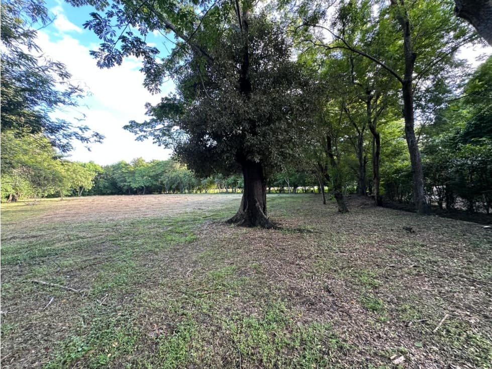 VENTA LOTE EN RESERVA ECOLOGICA EL PASO VIA GIRARDOT TOCAIMA - 1