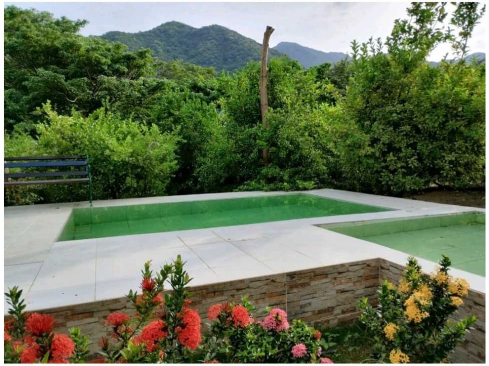 SE VENDE FINCA PRODUCTIVA VÍA NEGUANJE SANTA MARTA L.C - 1