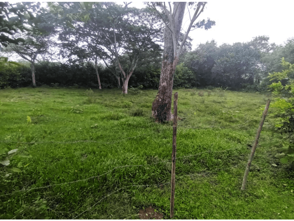 Lote campestre en venta Conjunto Los Cerros, Cartago Valle - 1