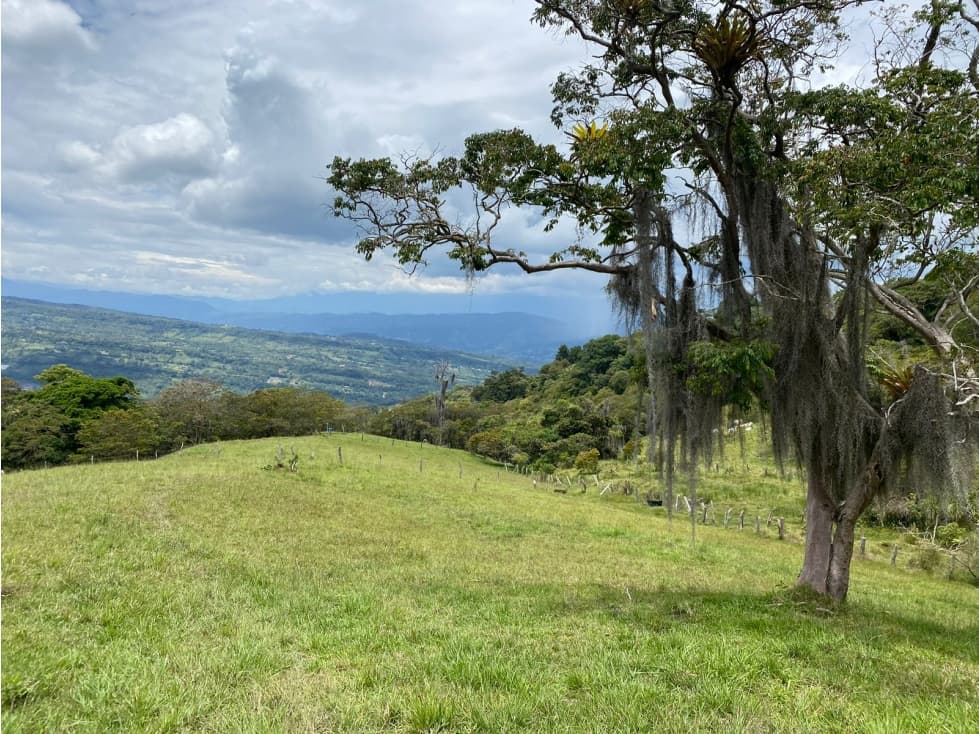 VENTA DE FINCA VEREDA NOVILLERO MONIQUIRA - 1