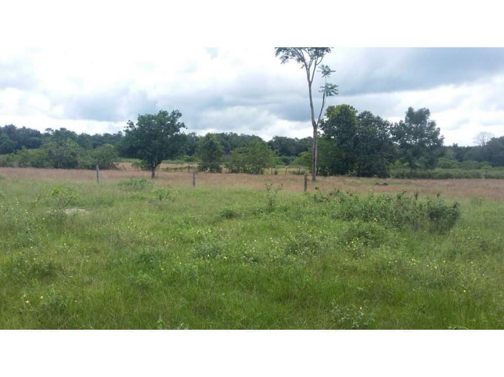 FINCA VENTA, PUERTO PARRA SANTANDER - 1