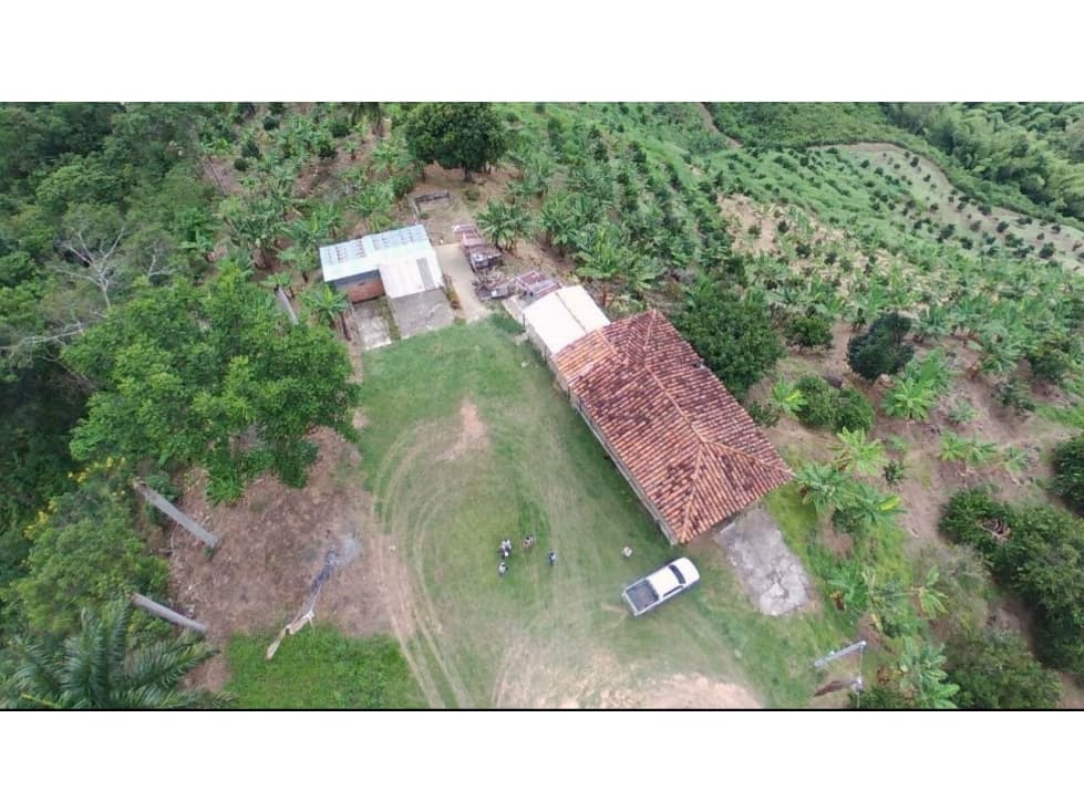 SE VENDE GRANDE FINCA EN BALBOA - 1