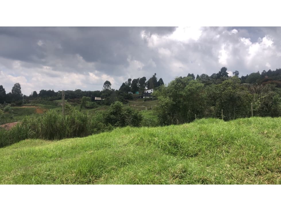 LOTE EN EL MUNICIPIO DE GUARNE - 1
