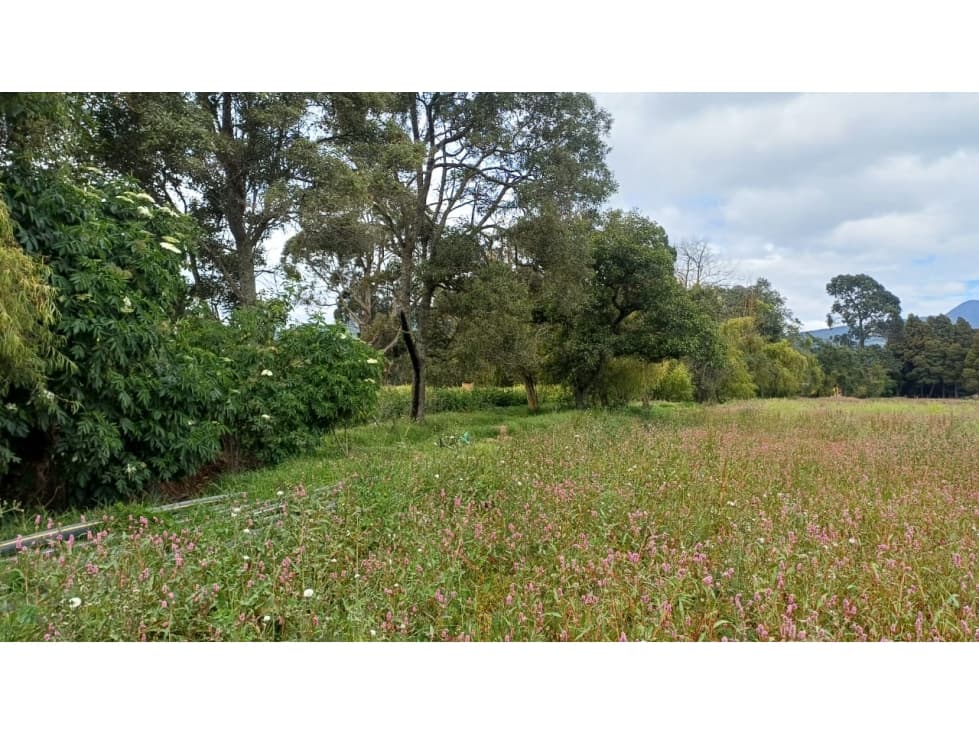 VENDO LOTE 2.5 KM DEL PERIMETRO URBANO DE GUASCA - 1