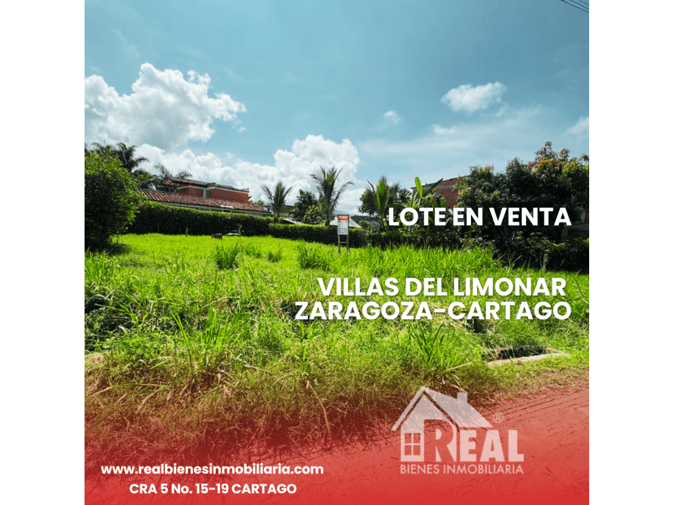 VENTA LOTE VILLAS DEL LIMONAR ZARAGOZA-CARTAGO VALLE - 1