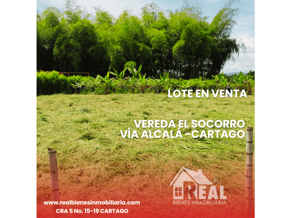 VENTA LOTE VEREDA EL SOCORRO VÍA ALCALÁ CARTAGO VALLE - 1