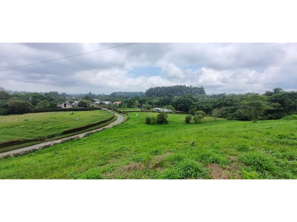 LOTE CAMPESTRE DENTRO DE CONDOMINIO SALENTO 5428 - 1