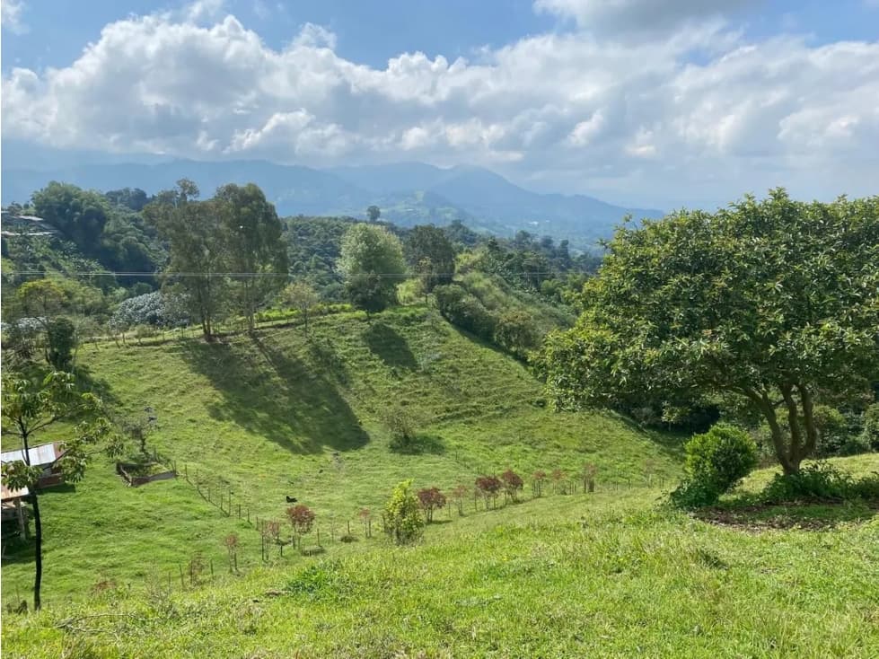 LOTE CAMPESTRE SALENTO 6460 - 1