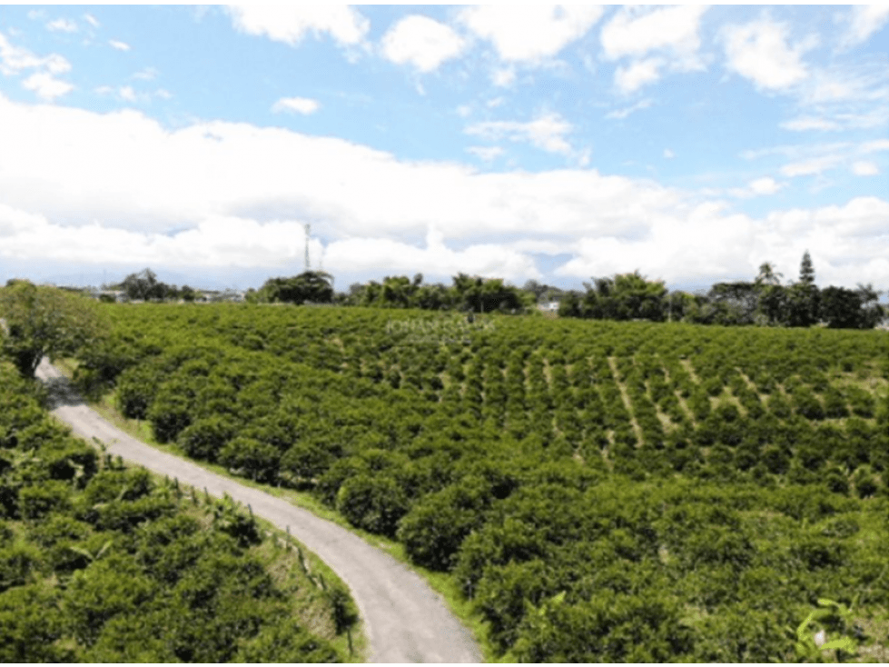 LOTE SUBURBANO TEBAIDA EDS 64000 - 1