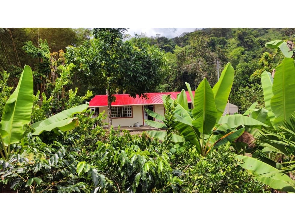 FINCA RENTABLE EN LA PALMA CUNDINAMARCA - 1