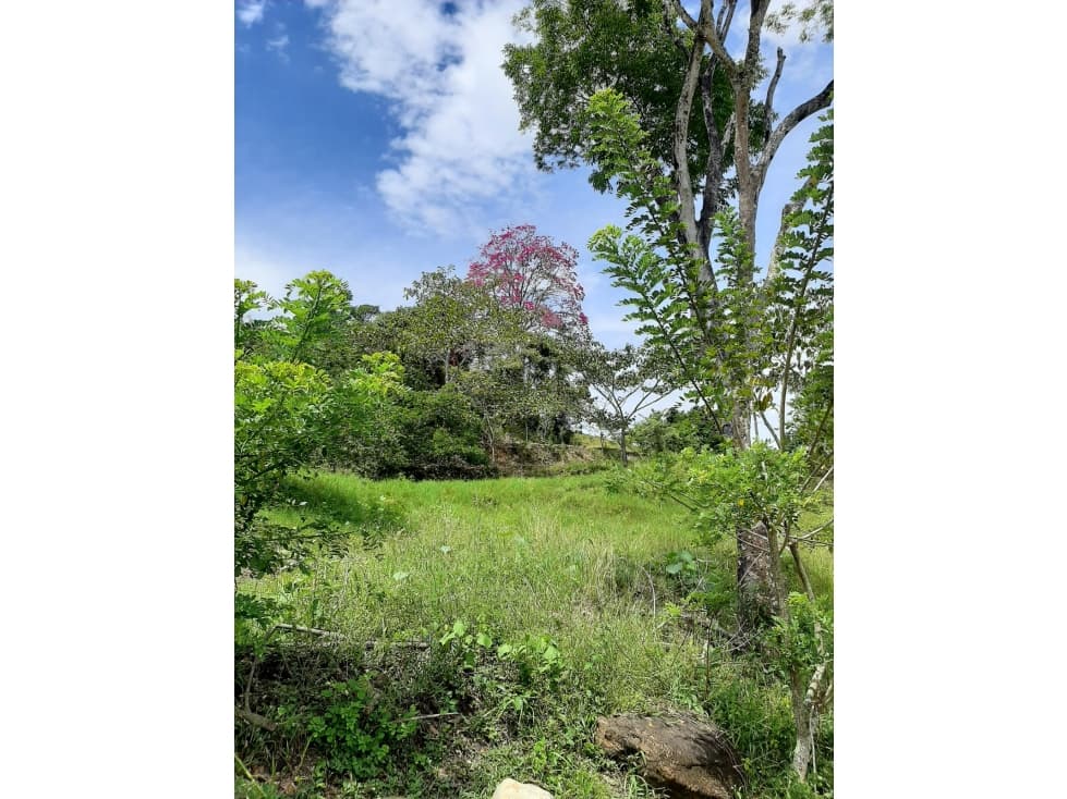 Lote de 10.133m/2 en Tobia Vía Nimaima - 1