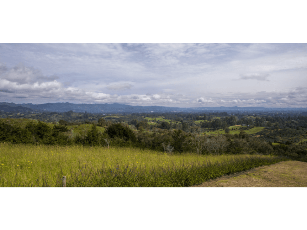 Lote en venta en RIONEGRO, sector vía San Antonio la ceja - 1