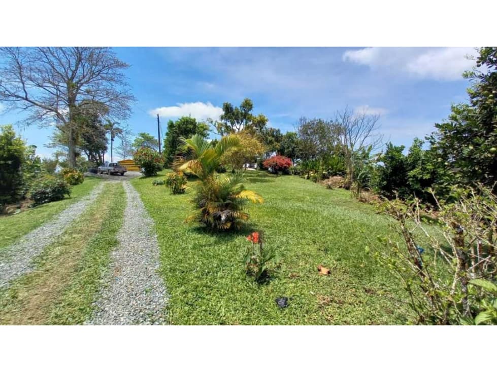 Finca de 13 cuadras en cafe platano y aguacate - 1