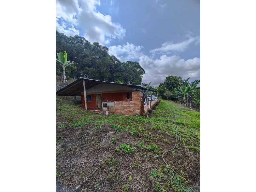 SE VENDE FINCA 1 PLAZA BITACO LA CUMBRE (A.G) CW:6889694 - 1