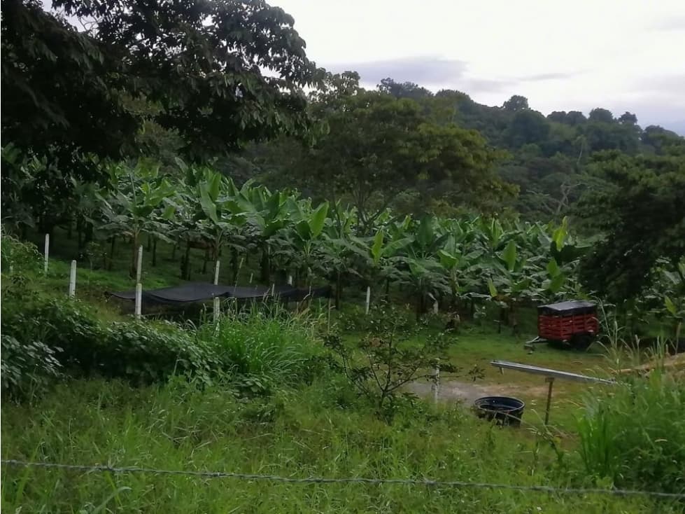 SE VENDE LOTE EN KM 34 EL PALMAR-DAGUA - 1