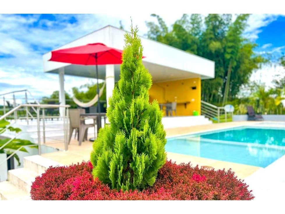 FINCA USO TURISMO QUIMBAYA Q. - 1