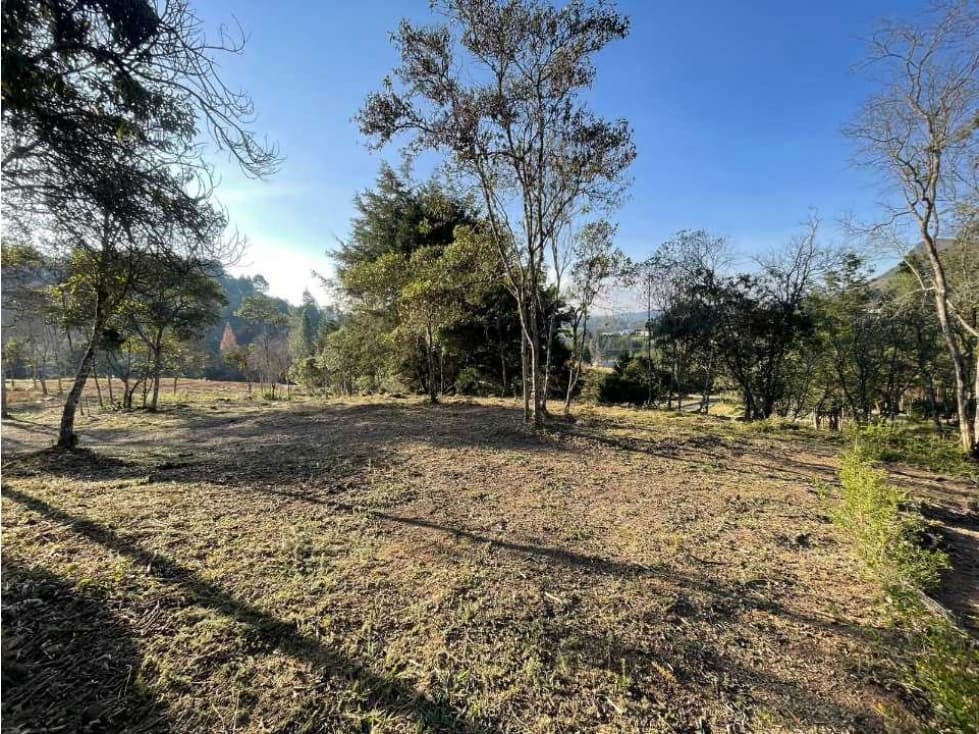 HERMOSO LOTE PARCELACIÓN LOOP HOUSINN- RETIRO VIA DON DIEGO - LA CEJA - 1