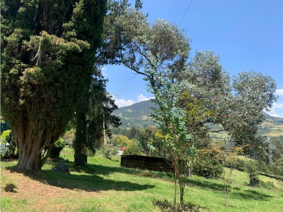 VENDO FINCA EN COGUA - 1