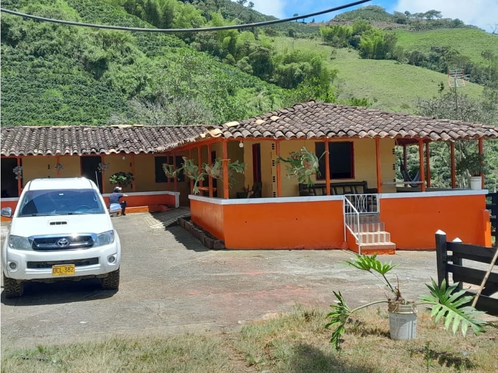 VENTA DE FINCA CAFETERA EN PUEBLORRICO, VEREDA MORRON - 1