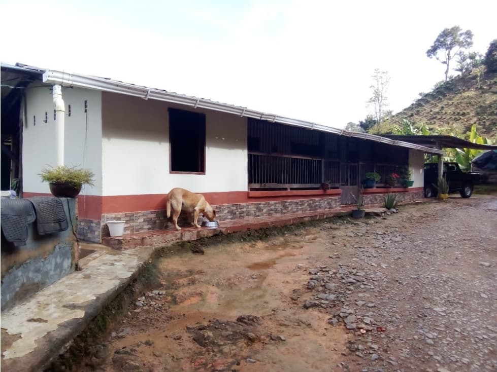 VENTA FINCA EN JARDÍN, ALTO DEL INDIO - 1