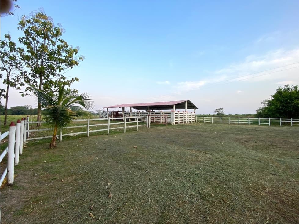 VENDO FINCA::VIA PUERTO LÓPEZ::VEREDA GUAYURIBA::$2.400MM - 1