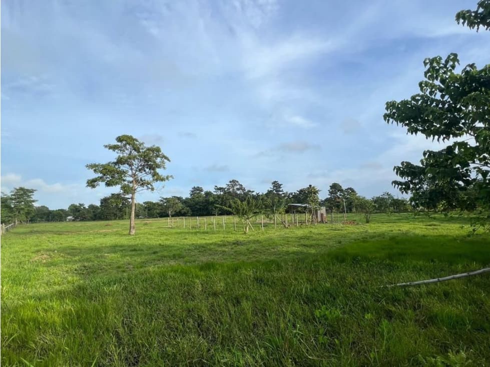 Venta de LOTE en Vía TURBO~ NECOCLÍ - 1