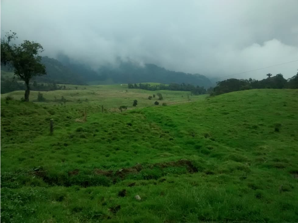 Se Vende Finca en Villamaría, Parque los Nevados. - 1