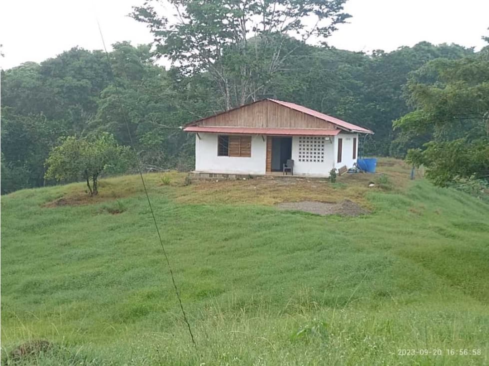 SE VENDE FINCA NECOCLI - 1