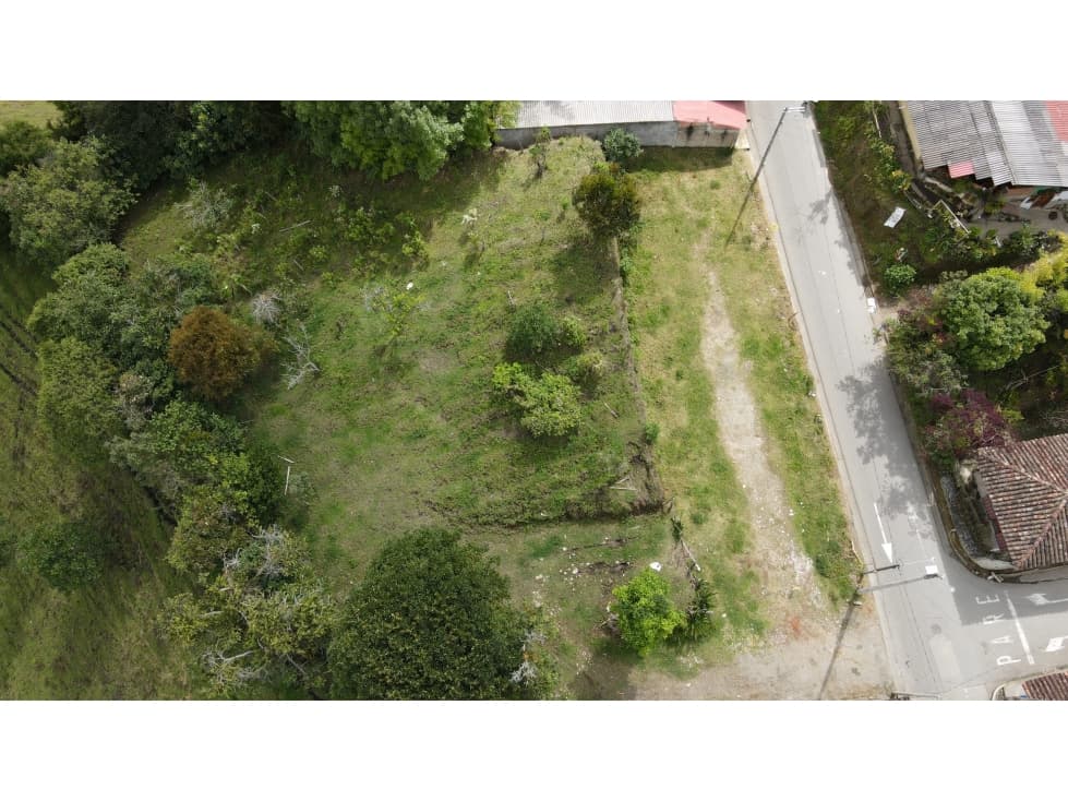 En Renta Lote Urbano Salento - 1