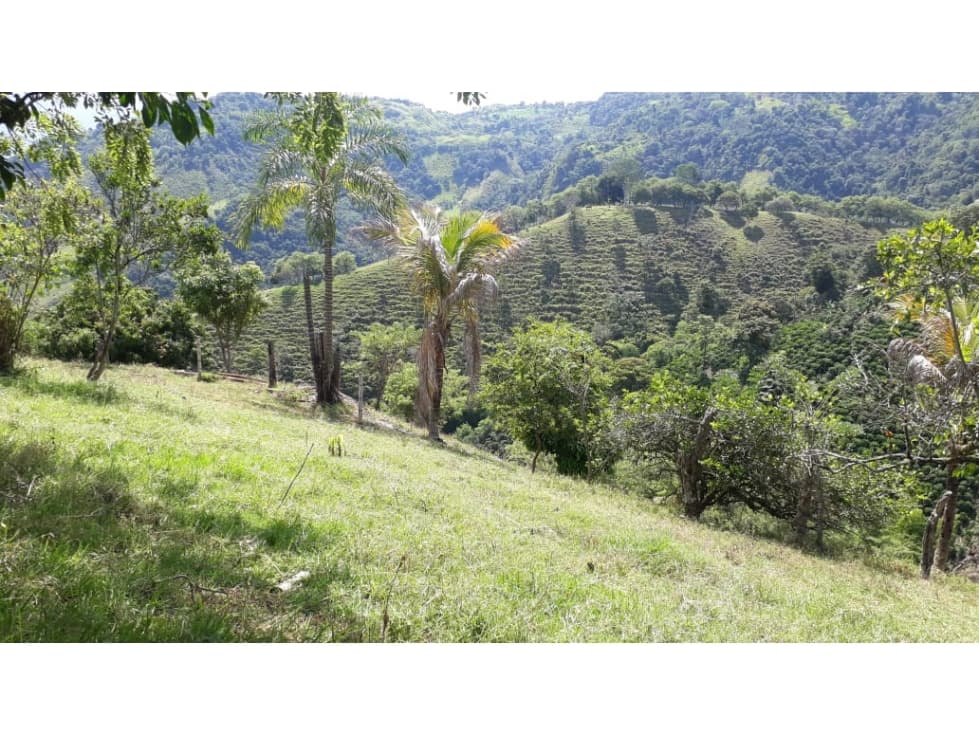 Venta de Finca Filadelfia Caldas - 1