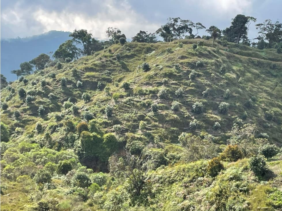 Finca en Vender en Granada - 1