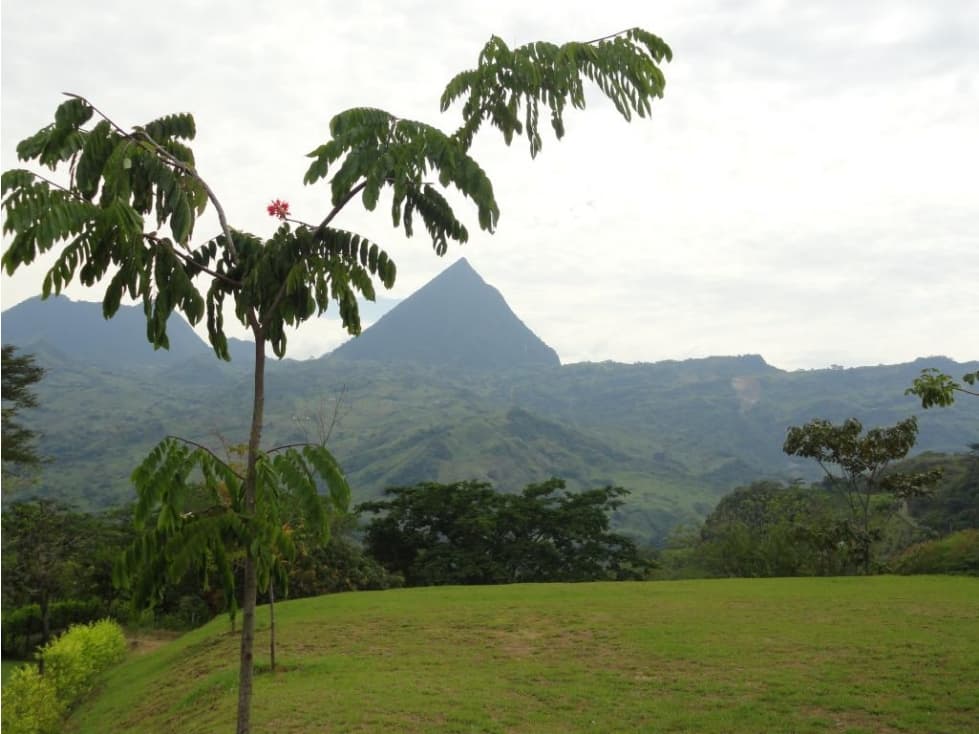 Lote en Vender en Amagá - 1