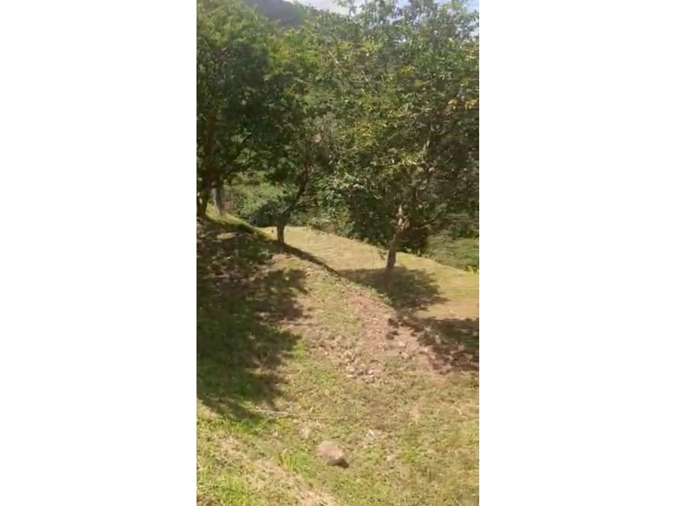 Lote en Vender en Amagá - 1