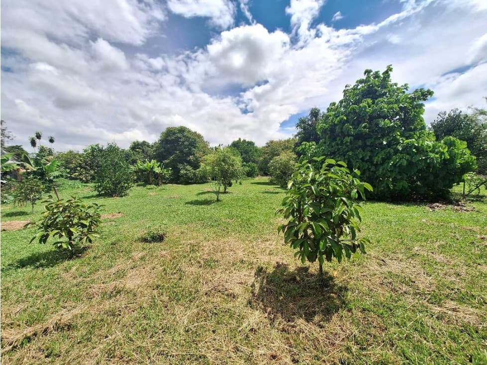 Se vende lote de 4.000 mtr2 en Ginebra. - 1