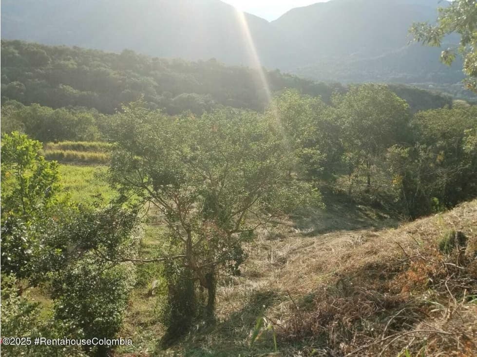 Lote en Villeta (Cundinamarca) RAH CO: 26-439 - 1