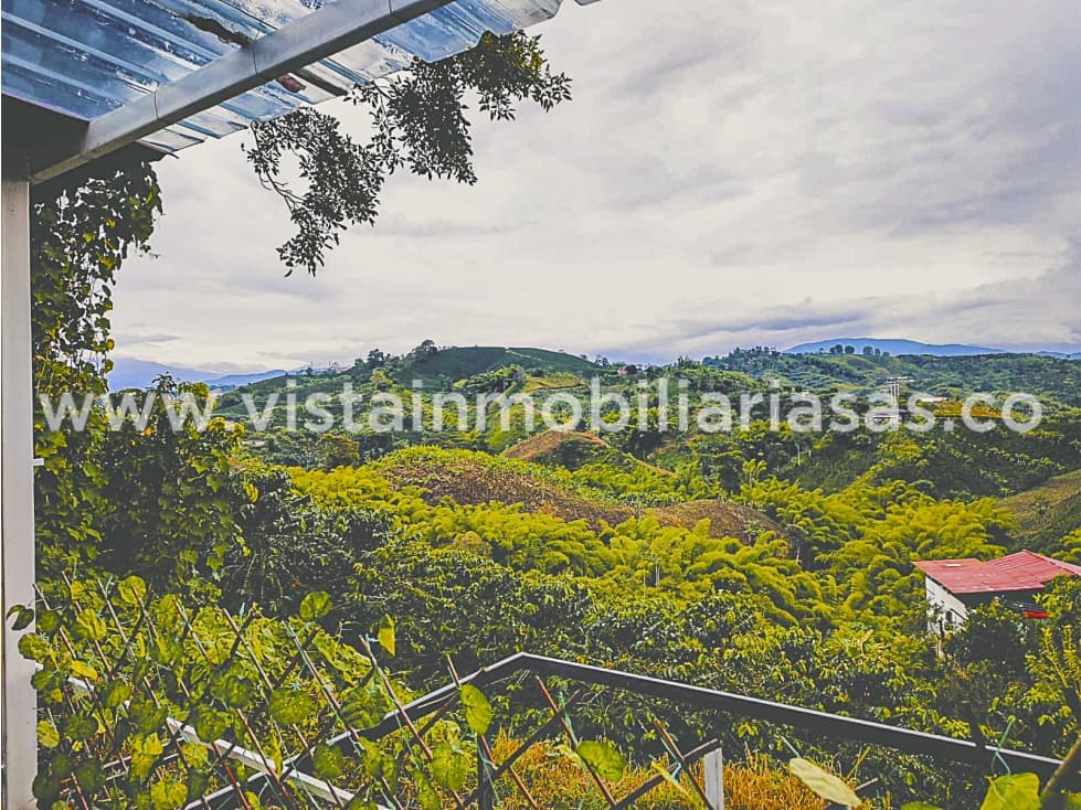 Arriendo Finca Sector Palestina, Caldas - 1