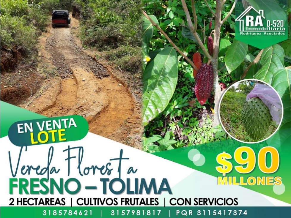 Lote en Vender en Fresno - 1