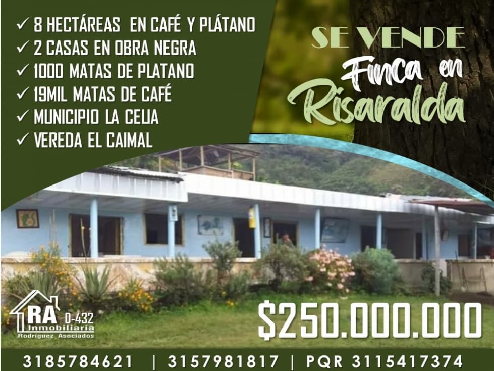 Finca en Vender en La Celia - 1