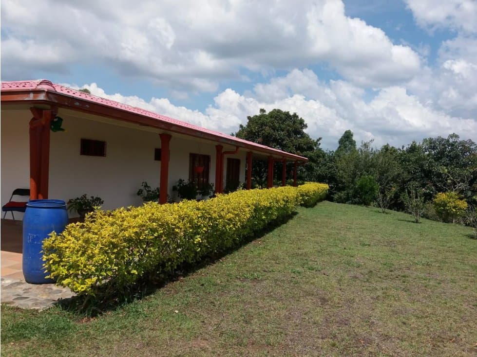 VENTA FINCA CAFETERA OPORTUNIDAD INVERSION - 1