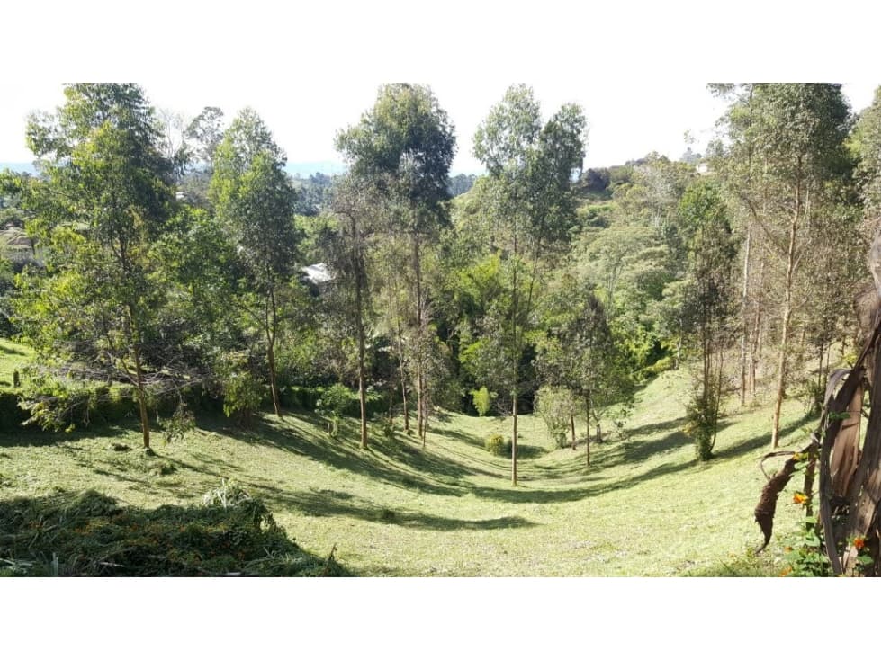 LOTE MARINILLA VEREDA CIMARRONAS A 5 MINUTOS DE CUATRO ESQUINAS - 1