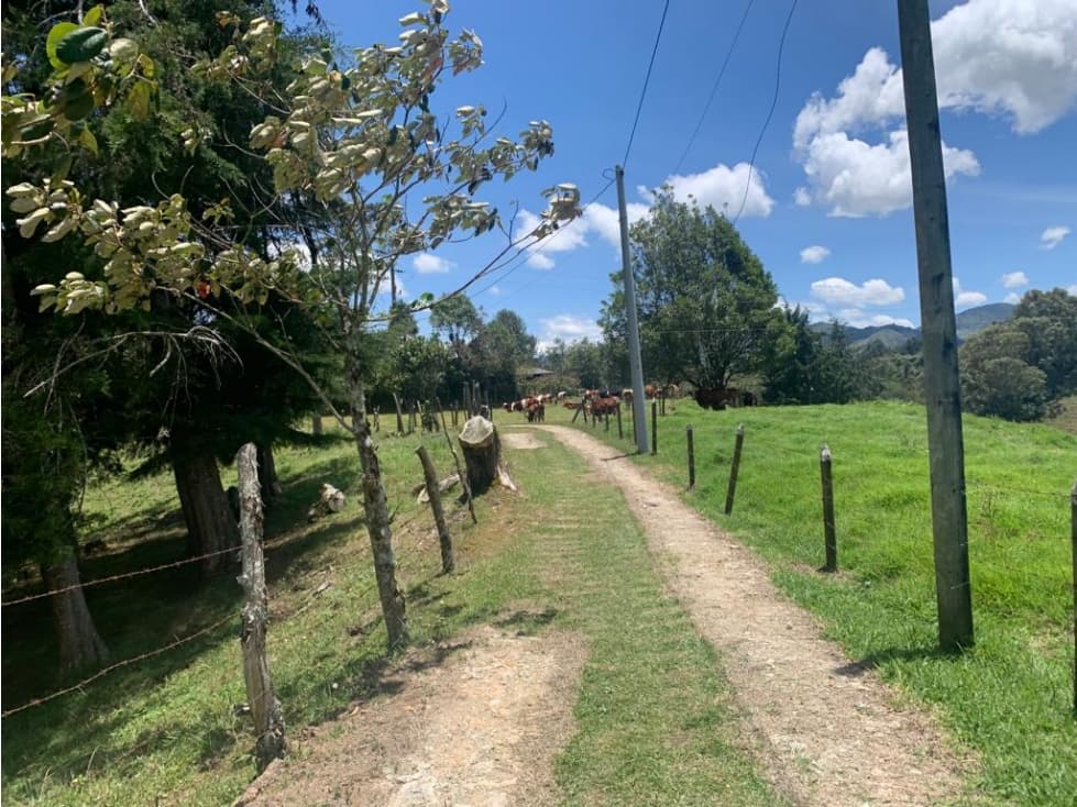 Venta de Finca Campestre en Vereda Potrerito , Santuario - 1