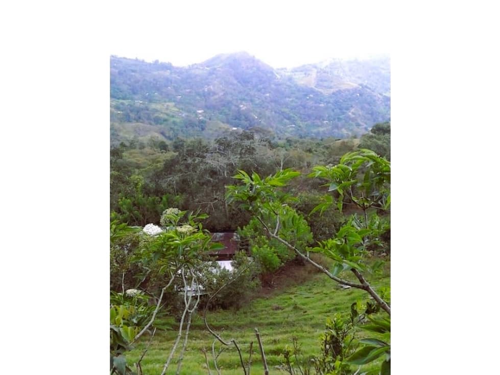 ANOLAIMA TERRENO EN VENTA 38.507M2 - 1