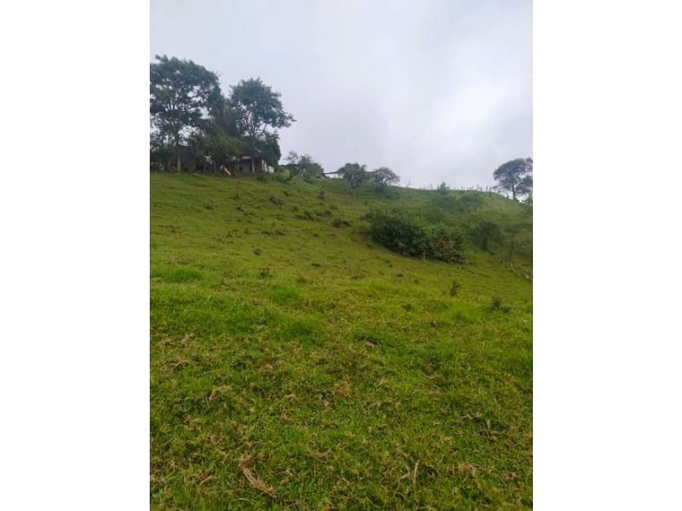 ANOLAIMA FINCA EN VENTA 15.000M2 - 1