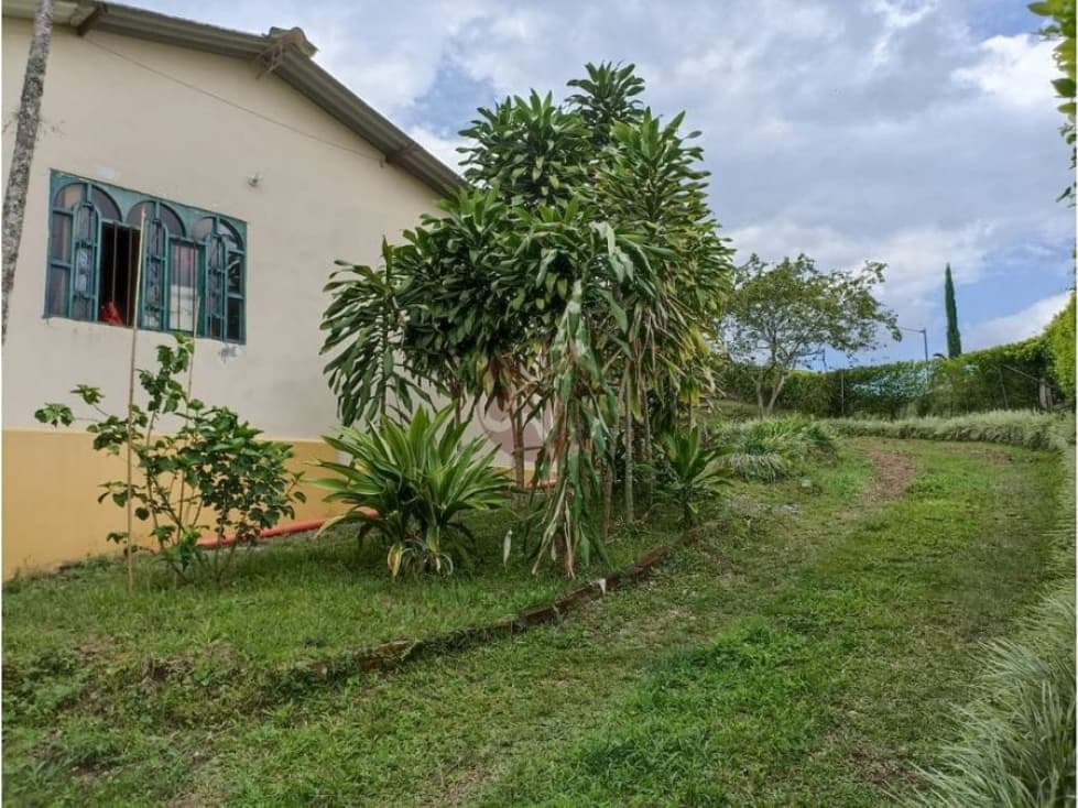 SE VENDE CASA CAMPESTRE SECTOR LA BELLA CALARCA - 1