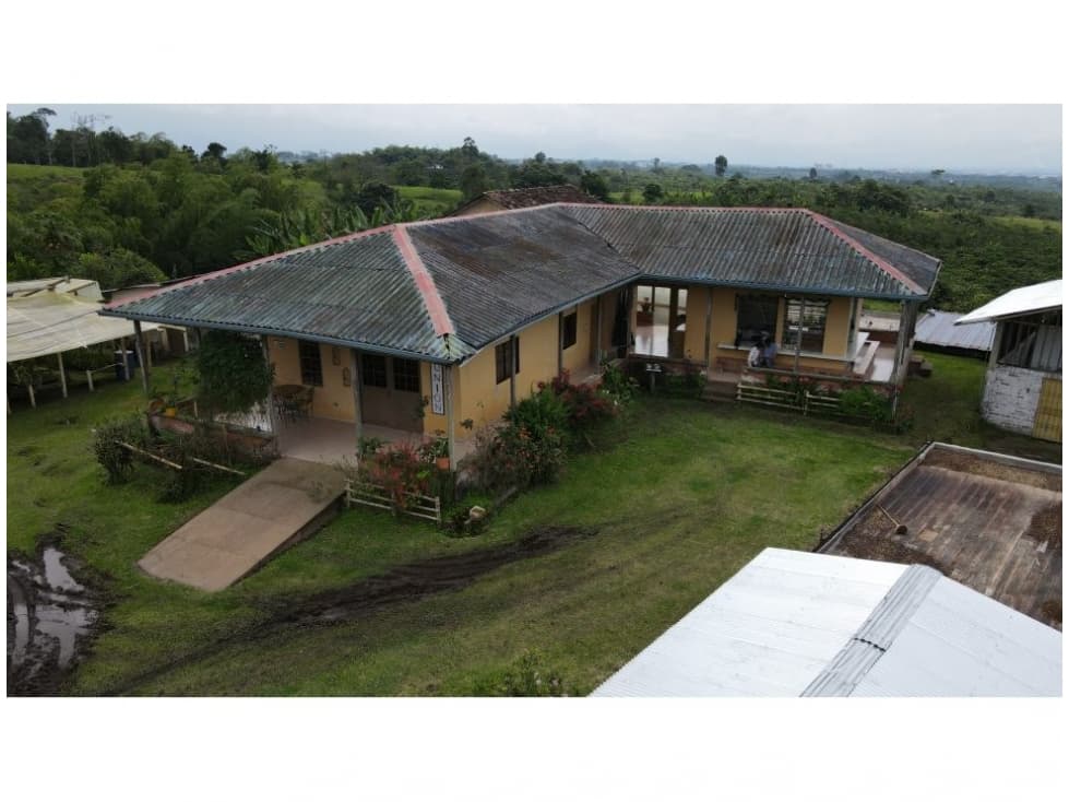 FINCA CAFETERA EN CIRCASIA DE 25 CUADRAS EN VENTA - 1