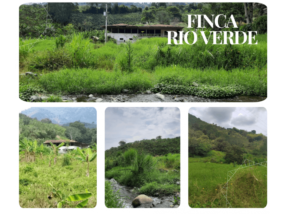 FINCA EN RIO VERDE CERCA A CORDOBA - 1