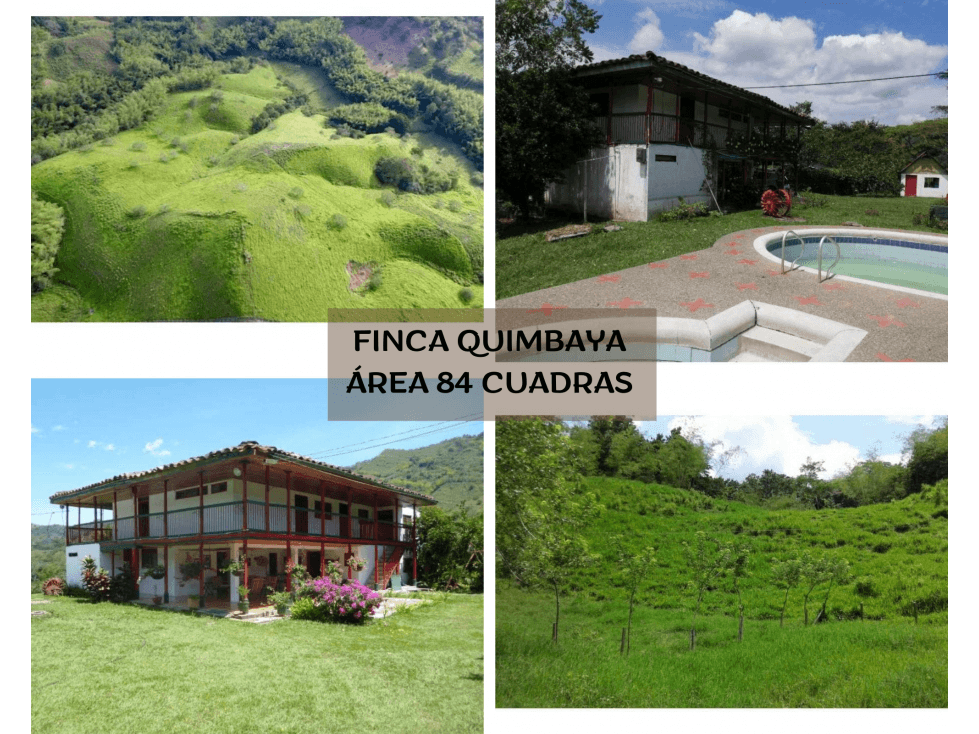 FINCA EN QUIMBAYA GANADERA Y PRODUCTIVA. - 1